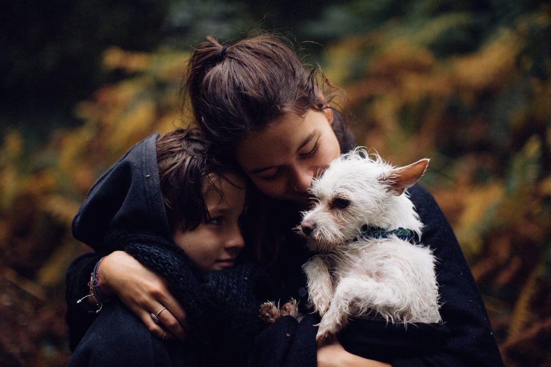 Jesteś zestresowany? To odbija się na twoim psie