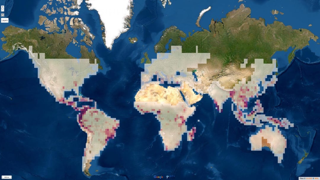 Na Ziemi jest jeszcze wiele gatunków do odkrycia. Pokazano to na “Mapie życia”