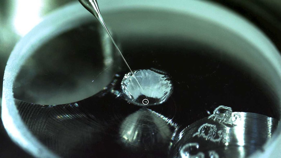 Pierwszy dowód, że asteroida mogła być źródłem życia na Ziemi