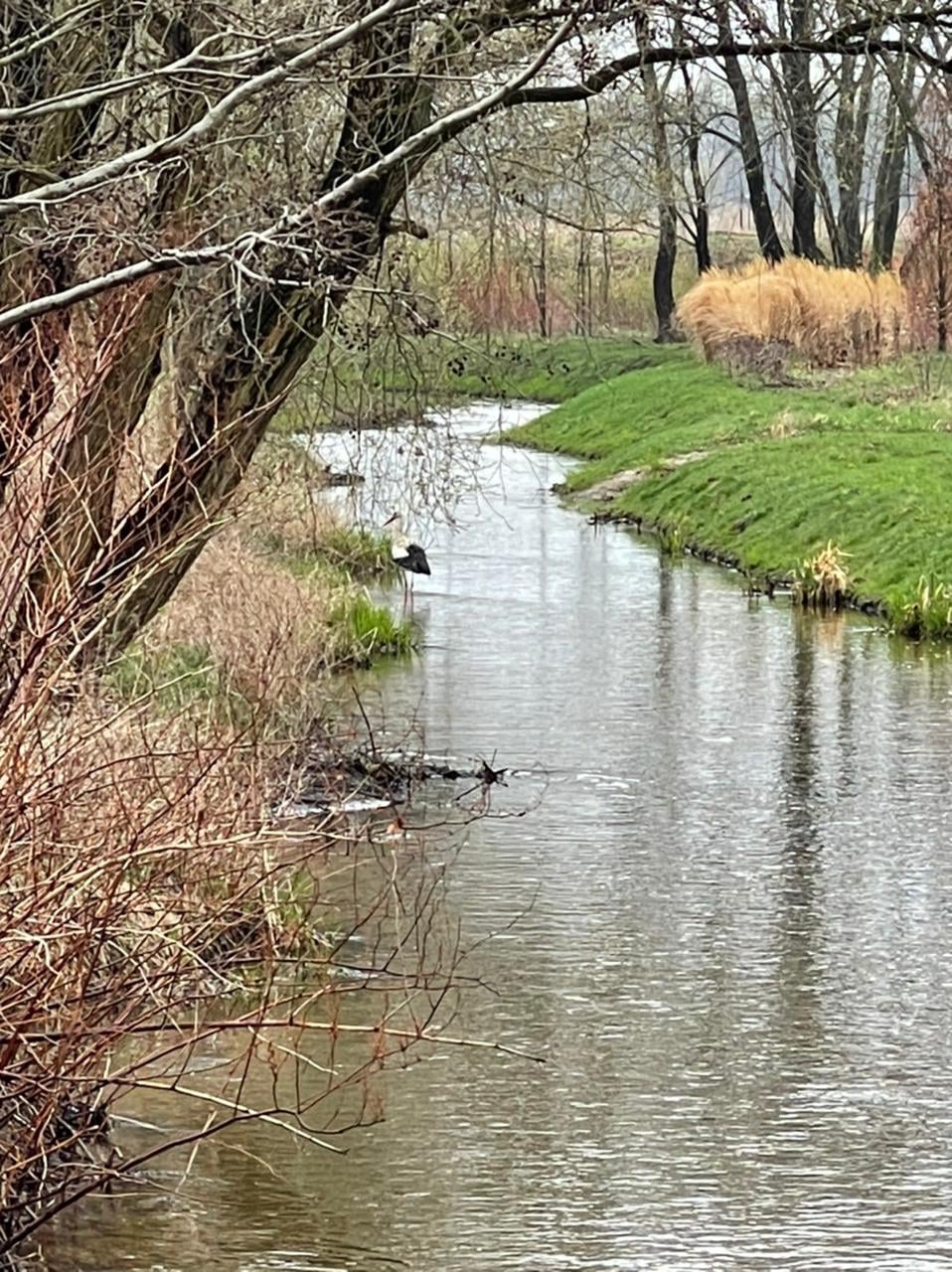 Czysta woda, czyste środowisko –  Światowy Dzień Ziemi w praktyce polskich przedsiębiorstw