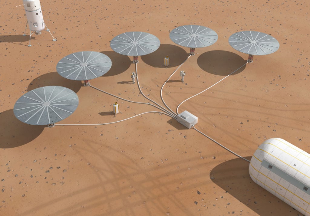 W „marsjańskiej” glebie wyrosła koniczyna. Wielki sukces astro-rolnictwa