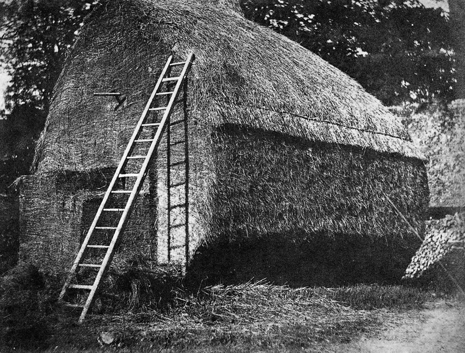 Stóg siana