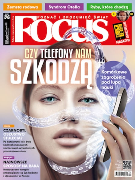 Focus nr 3/2016
