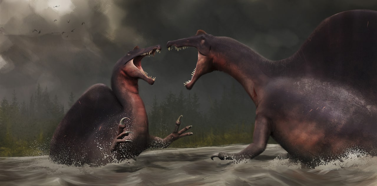 epizod-masowego-wymierania-z-gornego-triasu-mogl-utorowac-droge-do-rozwoju-dinozaurow-fot-getty-images_1