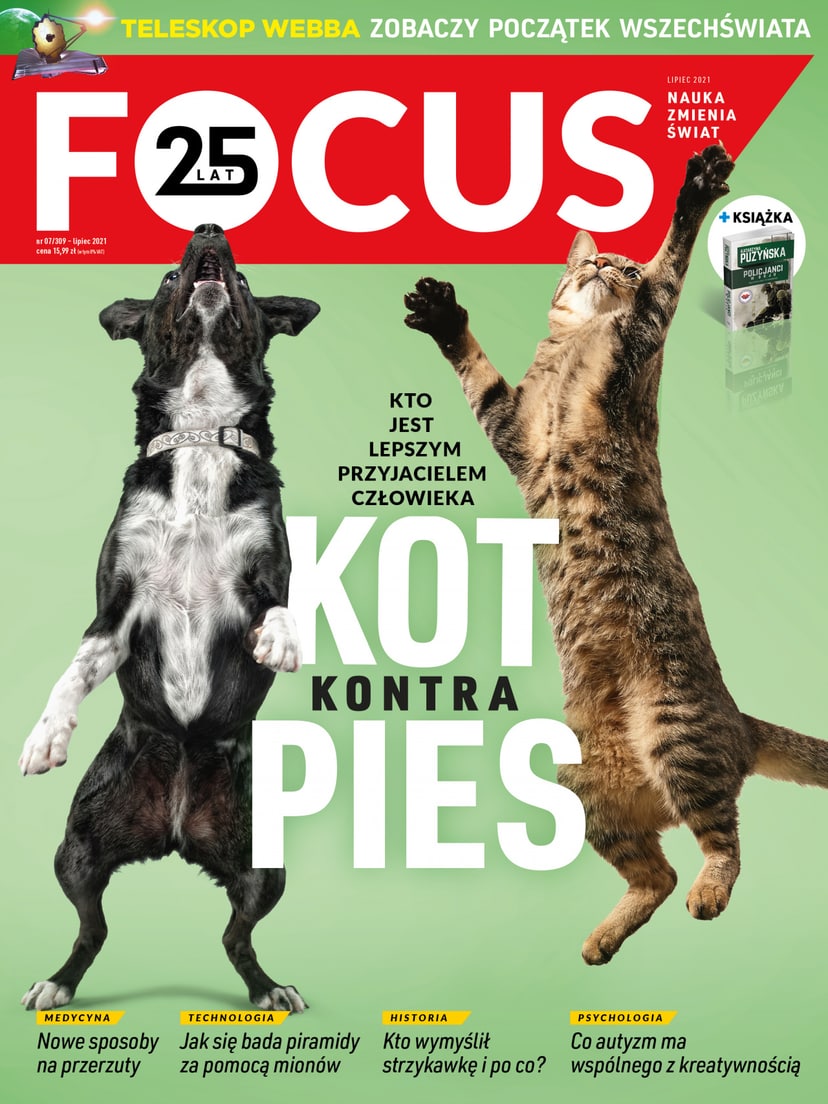 focus-7-21