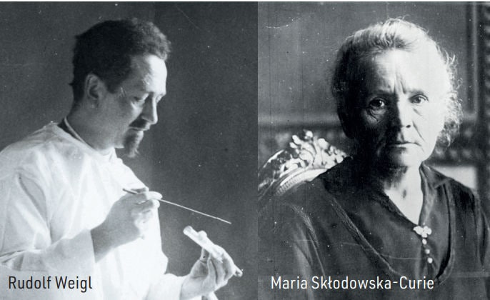 rudolf-weigl-maria-sklodowska-curie