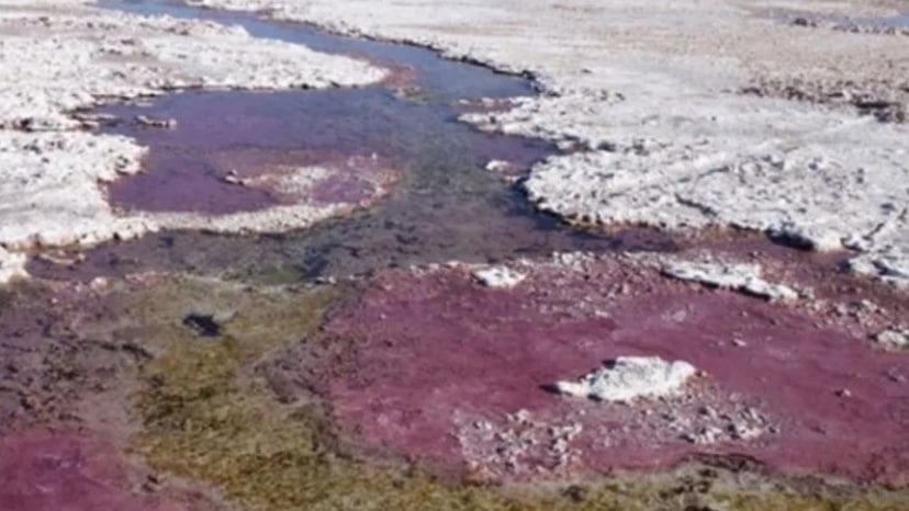 maty-mikrobiologiczne-w-la-brava-w-chile-visscher-et-al-nature-2020