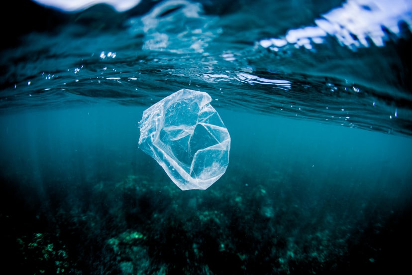 to-co-najbardziej-przykulo-uwage-naukowcow-to-roznorodnosc-produktow-chemicznych-jakie-zostaly-uwolnione-w-czasie-przypiekania-plastikowych-jednorazowek-fot-getty-images