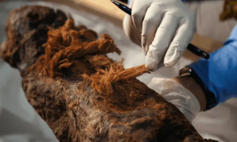 mumia-khuwy-zostala-odkryta-w-2019-roku-fot-ian-glatt-national-geographic-windfall-films