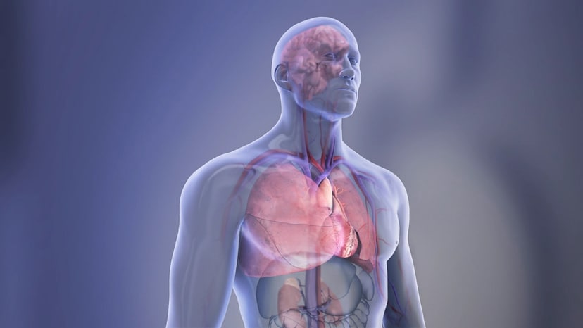 bezobjawowe-zmiany-miazdzycowe-wykryto-u-40-proc-zdrowych-doroslych-jak-powinnismy-dbac-o-serce-fot-american-heart-association