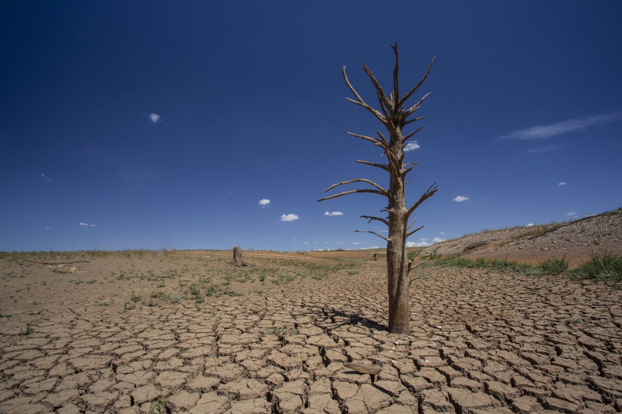 w-australii-odnotowano-50-7-stopnia-celsjusza-sa-duze-szanse-ze-niebawem-padnie-kolejny-rekord-temperatury-fot-getty-images