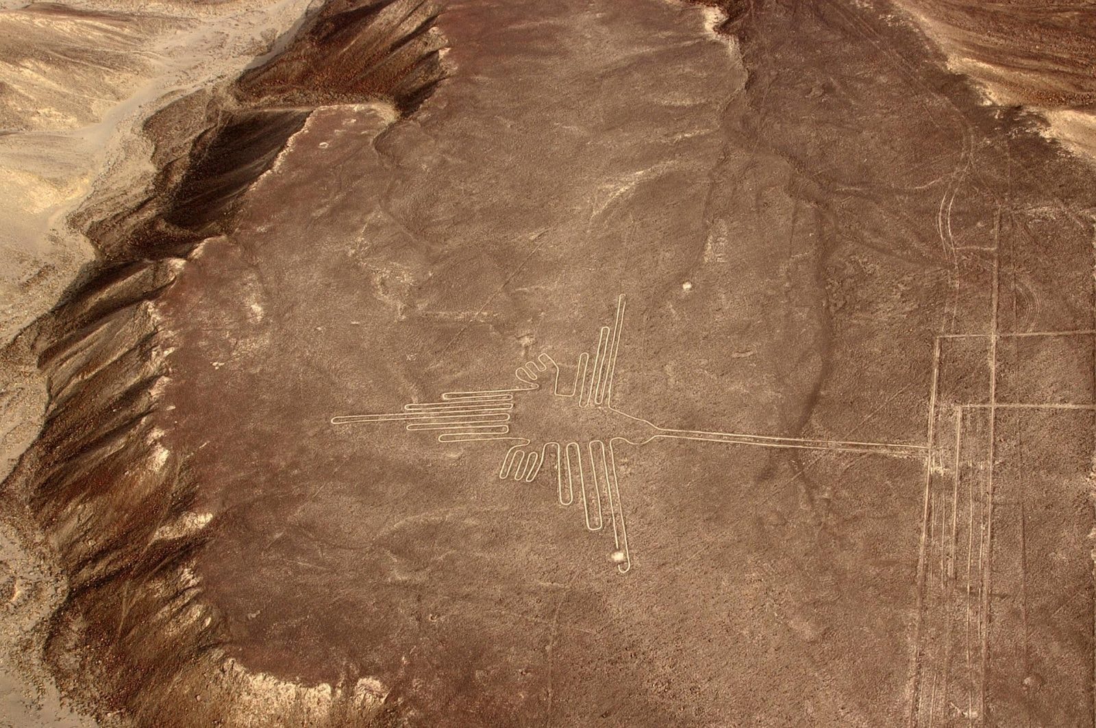 NAZCA W ARABII