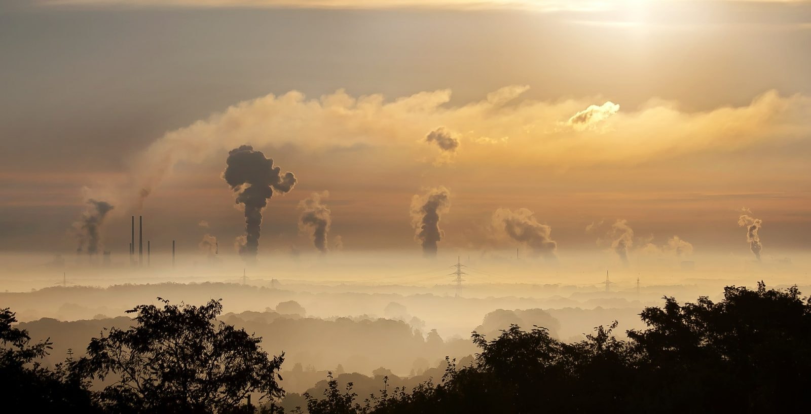 Smog szkodzi mózgowi. Pogarsza nawet wyniki egzaminów