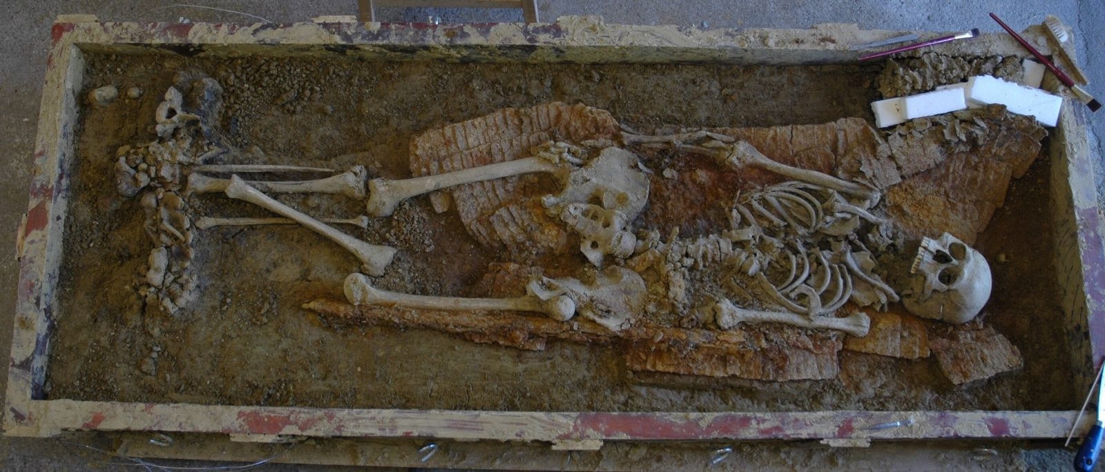 Awarowie to najszybciej migrujący lud w starożytnej historii. Skąd pochodzili?