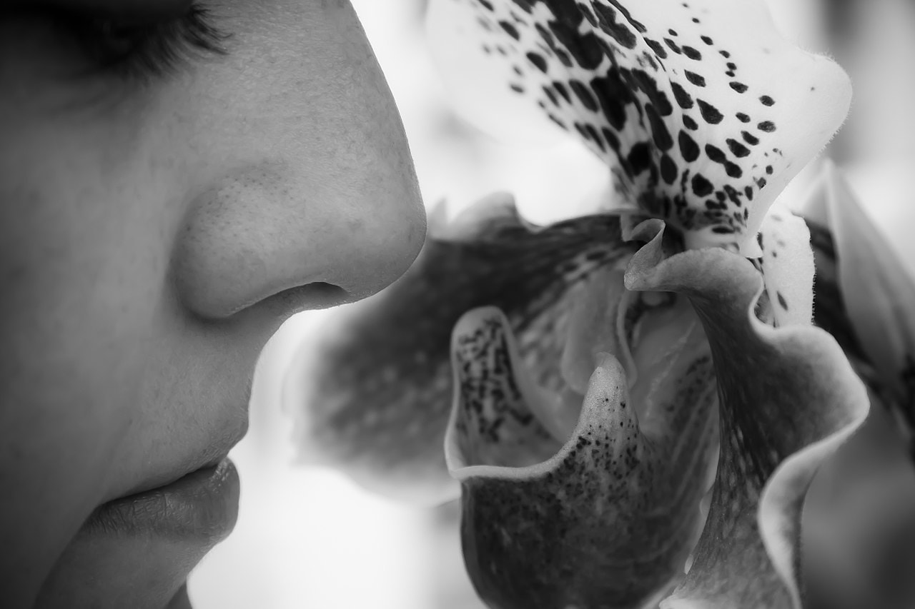 Świetnie się z kimś dogadujesz? To zasługa zapachu