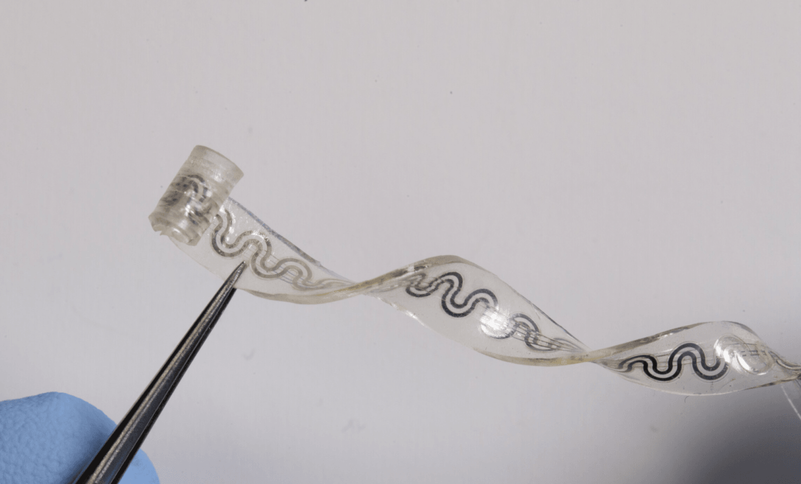 Implant stworzony przez naukowców z Uniwersytetu Northwestern /Fot. Northwestern University
