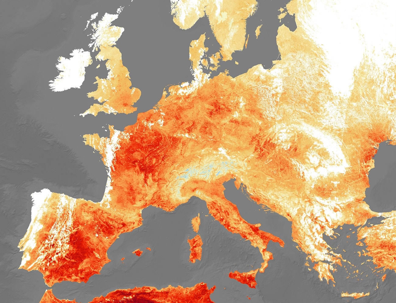 Ludzki organizm jest zaskakująco podatny na wysokie temperatury. Kluczowa okazuje się wilgotność