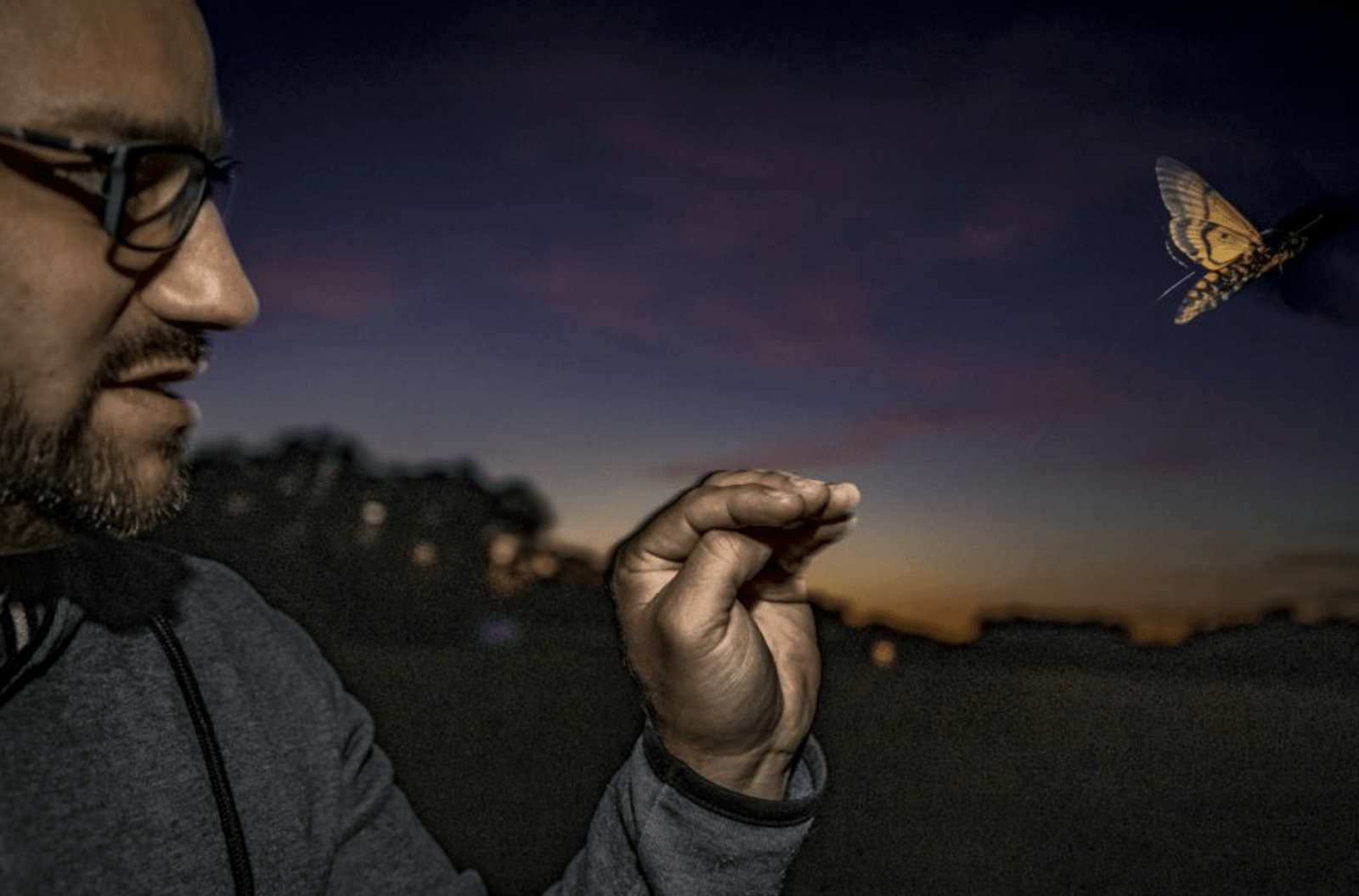 Naukowcy prześledzili trajektorie lotu 14 ciem /Fot. Max Planck Institute for Animal Behavior
