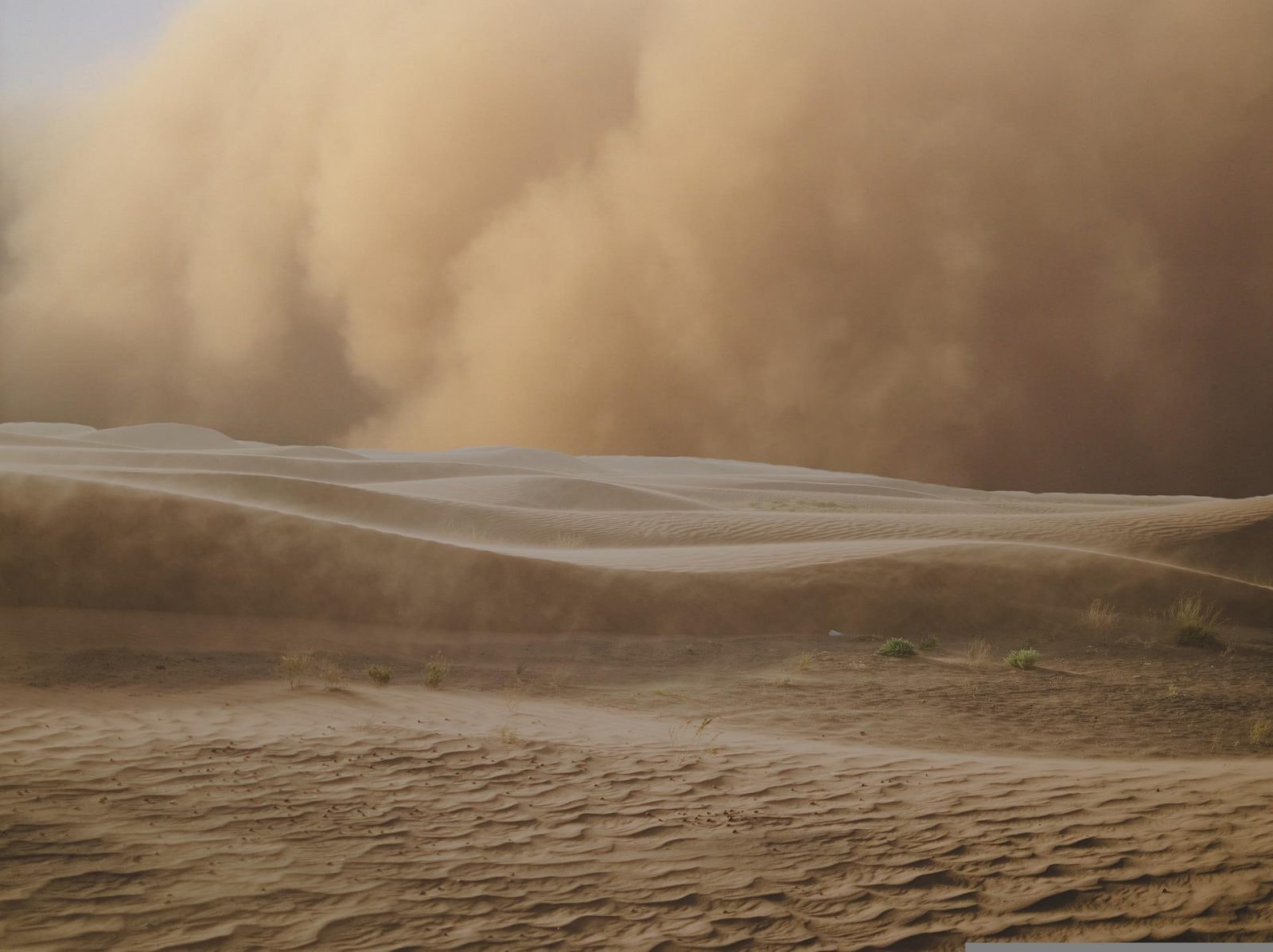Częstsze burze piaskowe w przyszłości? Niebagatelny wpływ ma coś nietypowego w oceanach