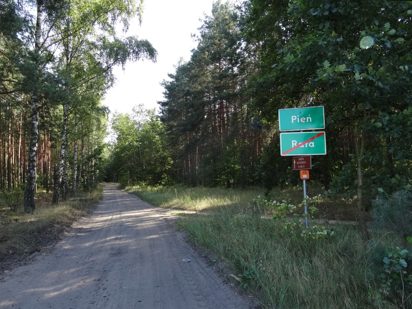 źródło: Wikimedia Commons, CC0 1.0
