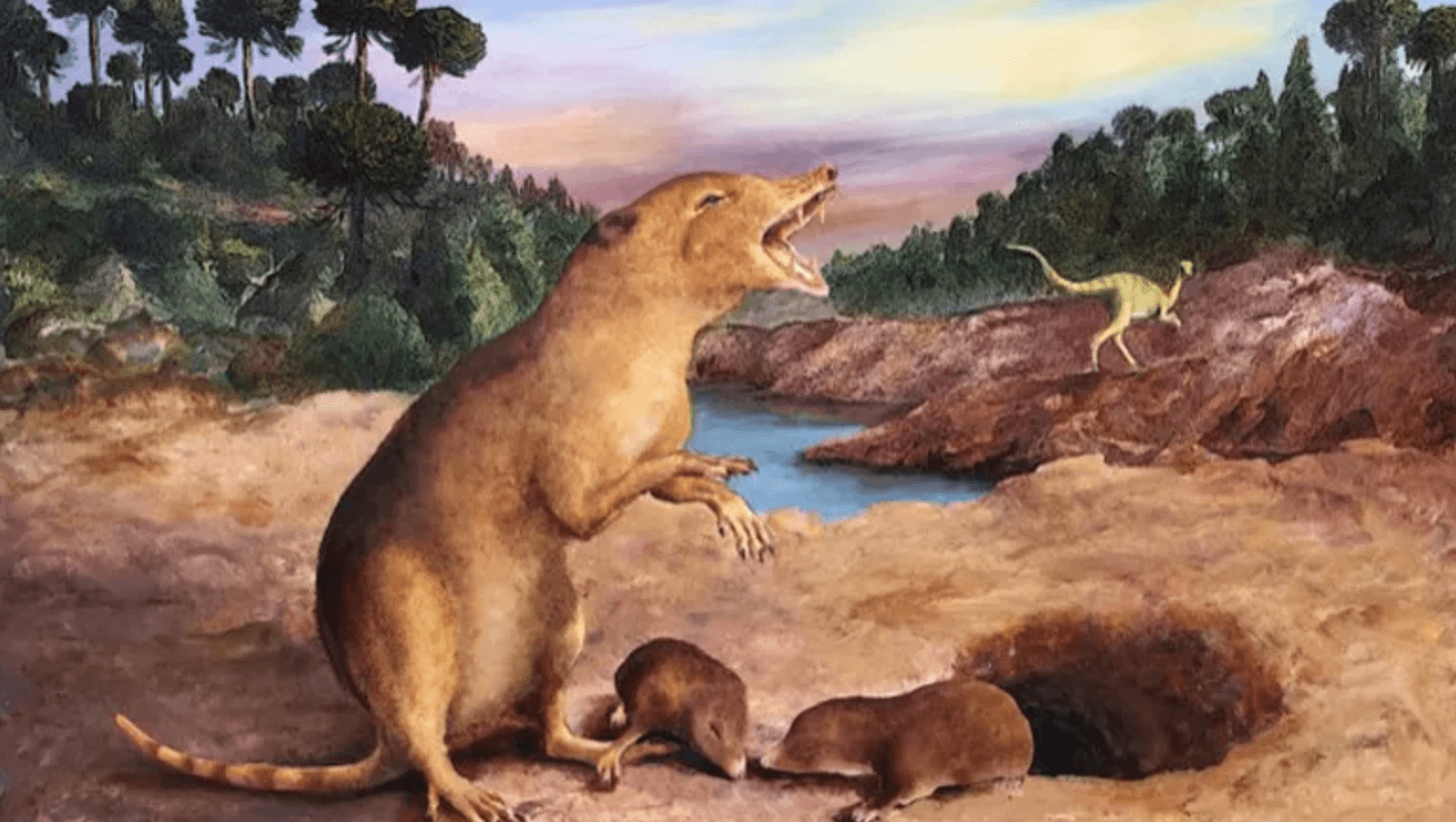 Brasilodon quadrangularis
