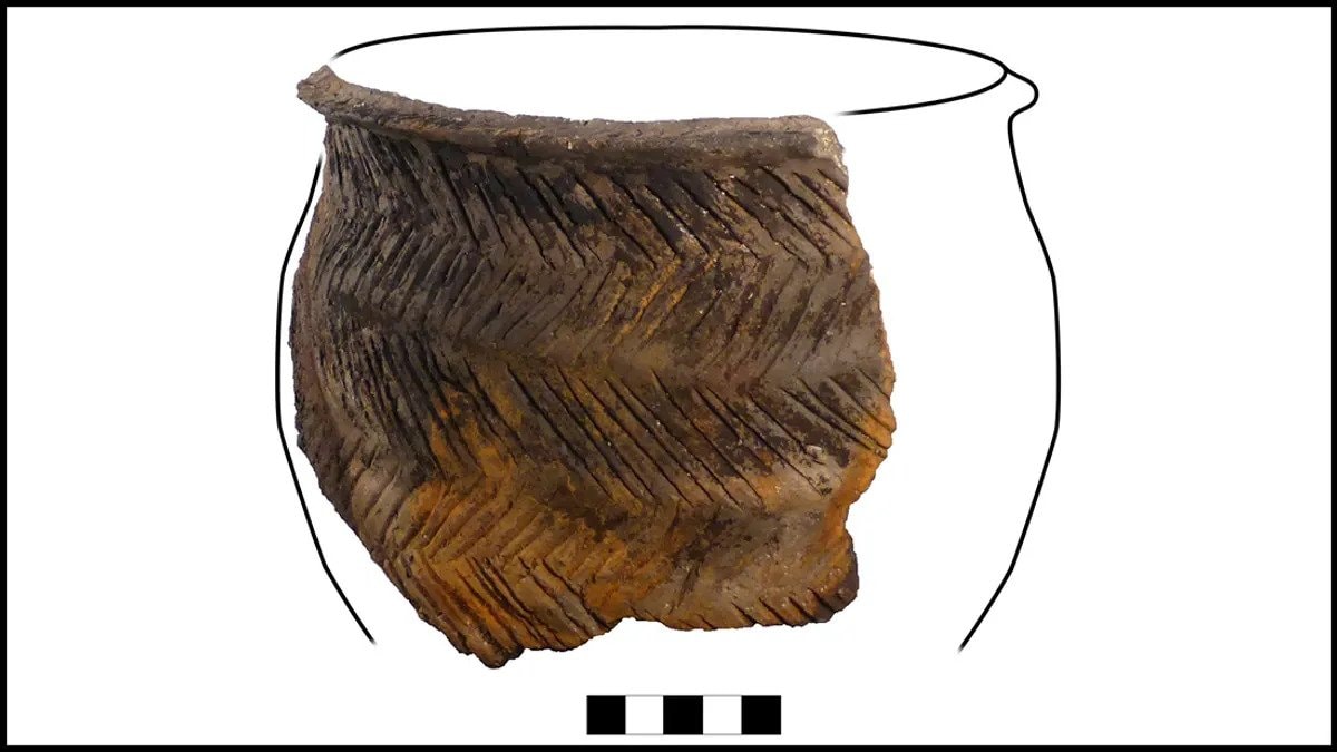 Płatki z mlekiem podstawą diety. Ten posiłek sięga okresu sprzed tysięcy lat