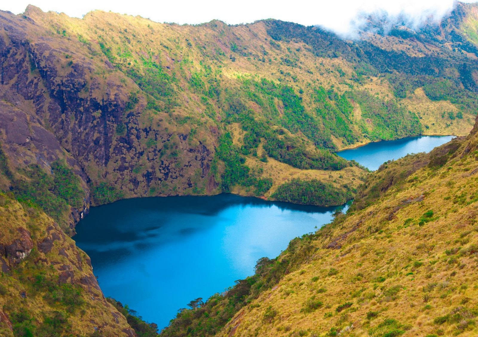 Silne trzęsienie ziemi nawiedziło oceaniczną wyspę. Oto efekt starcia się dwóch płyt tektonicznych