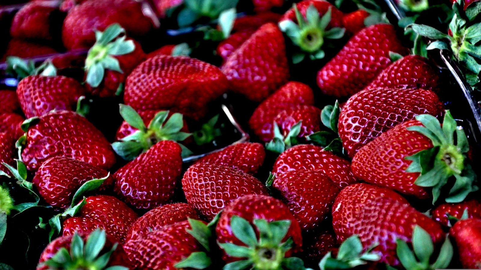 Sezon na truskawki już za nami, ale warto przygotować się na kolejne lato /Fot. Pixabay
