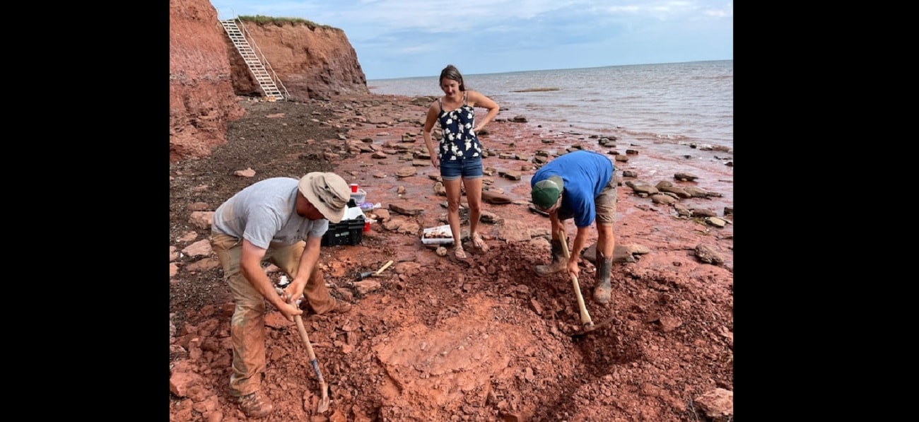Tak wyglądają szczątki stworzenia, które żyło 50 milionów lat przed dinozaurami