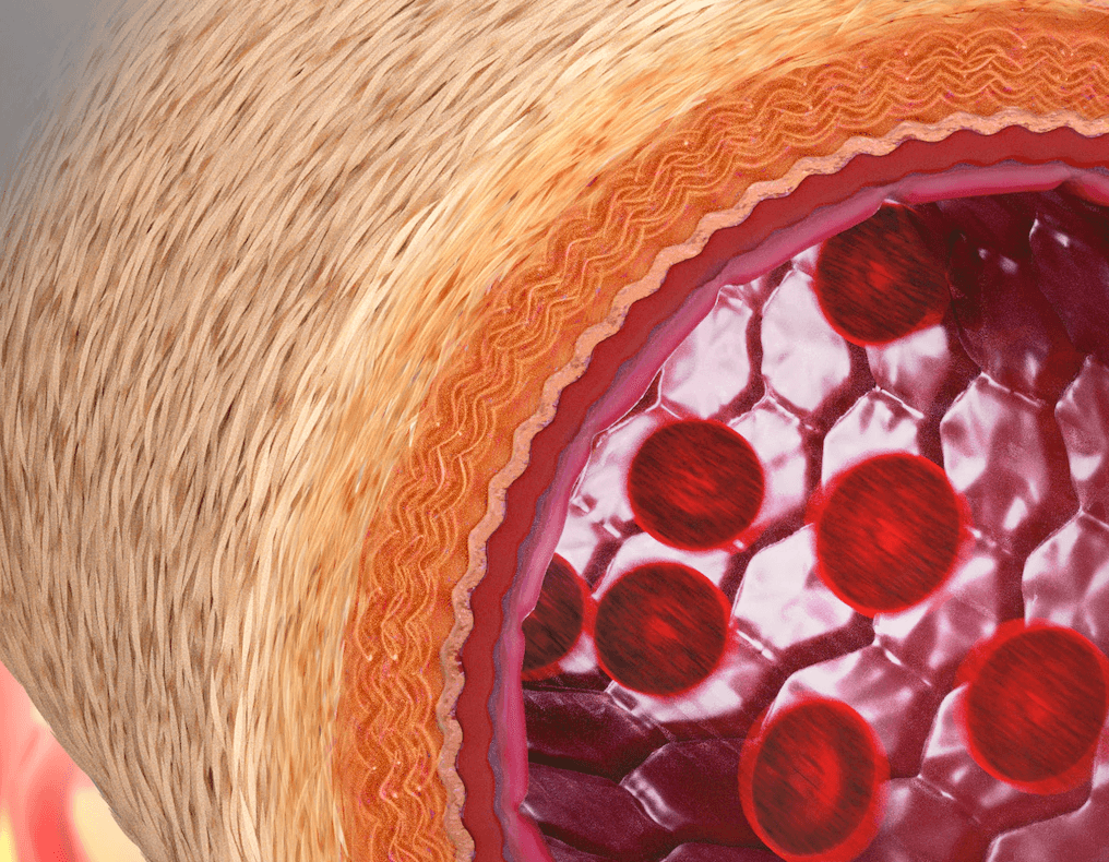 Sztuczne naczynia krwionośne coraz bliżej /Fot. University of Sydney
