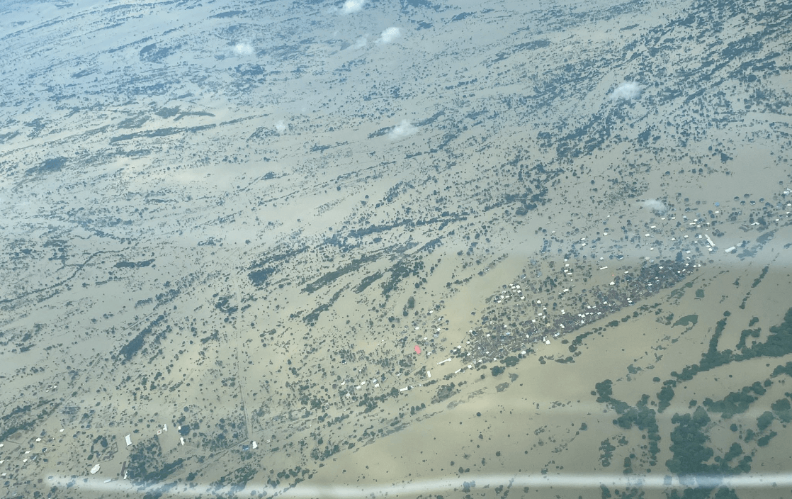 źródło: Falnyi J. / Twitter.com
