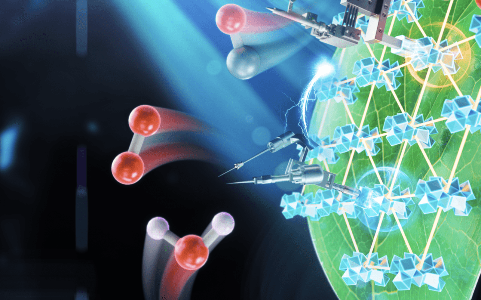 Czy fotosyntezę można odtworzyć, a wręcz ulepszyć? /Fot. University of Chicago
