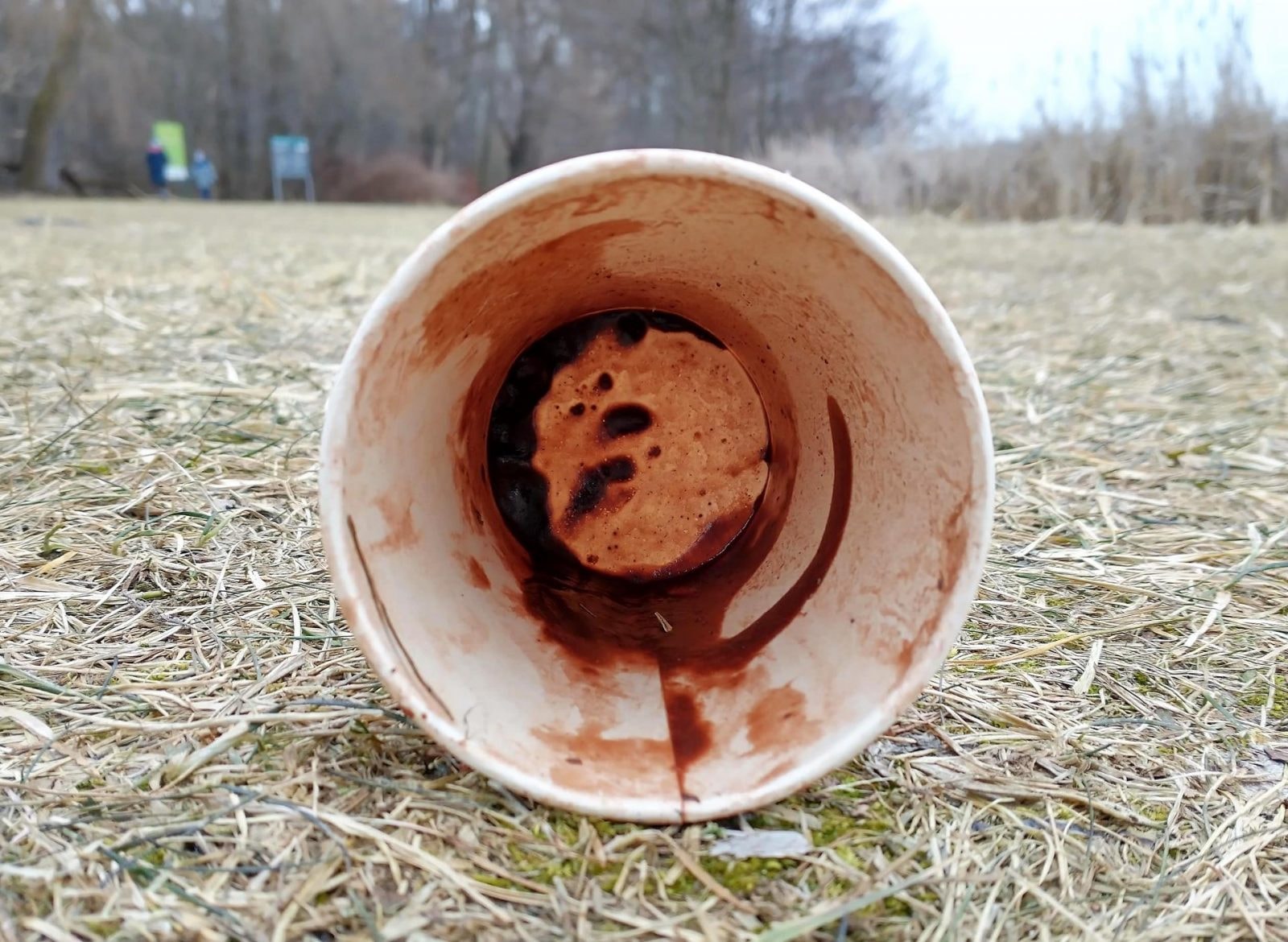 Mikroalgi rosnące na odpadach kawowych jako paliwo. Nadeszła rewolucja w uprawie i zastosowaniu