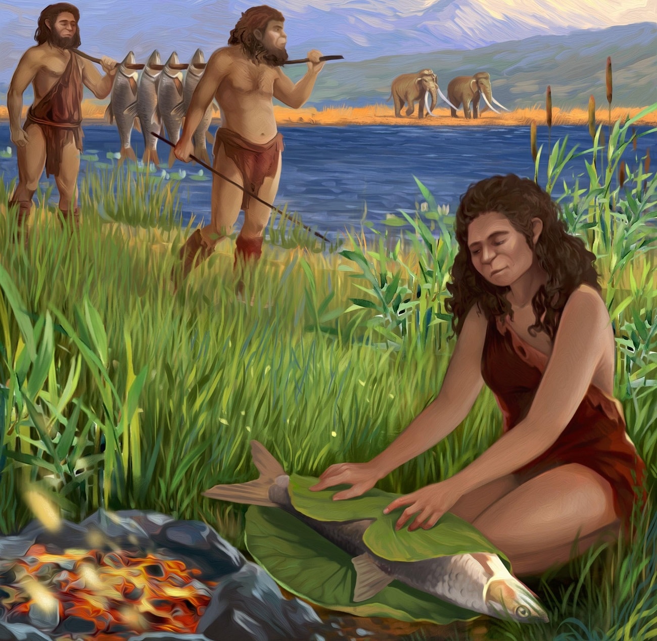 Przodkowie człowieka mistrzami gotowania? Dowody sięgają odległej przeszłości