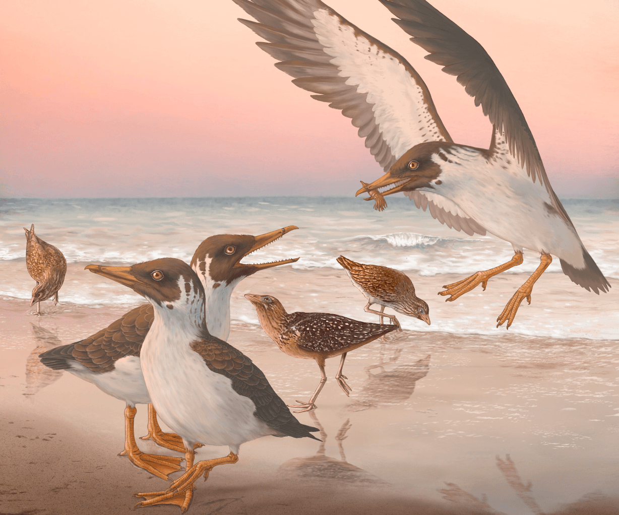 Wizja artystyczna Janavis finalidens /Fot. University of Cambridge
