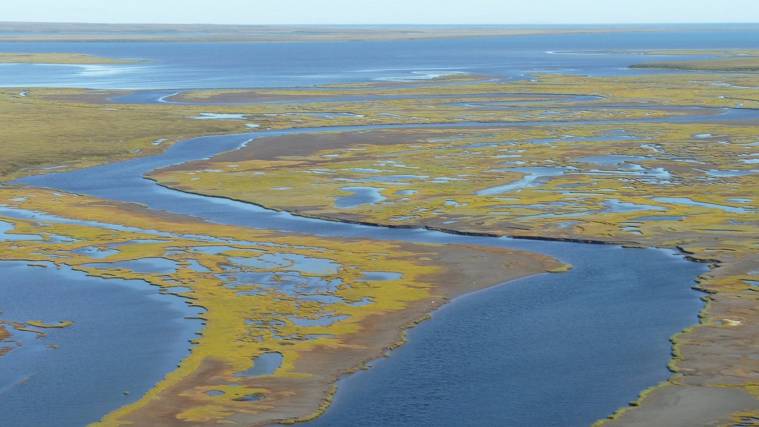 Beringia połączyła Amerykę i Azję. Kiedy doszło do powstania naturalnego mostu?