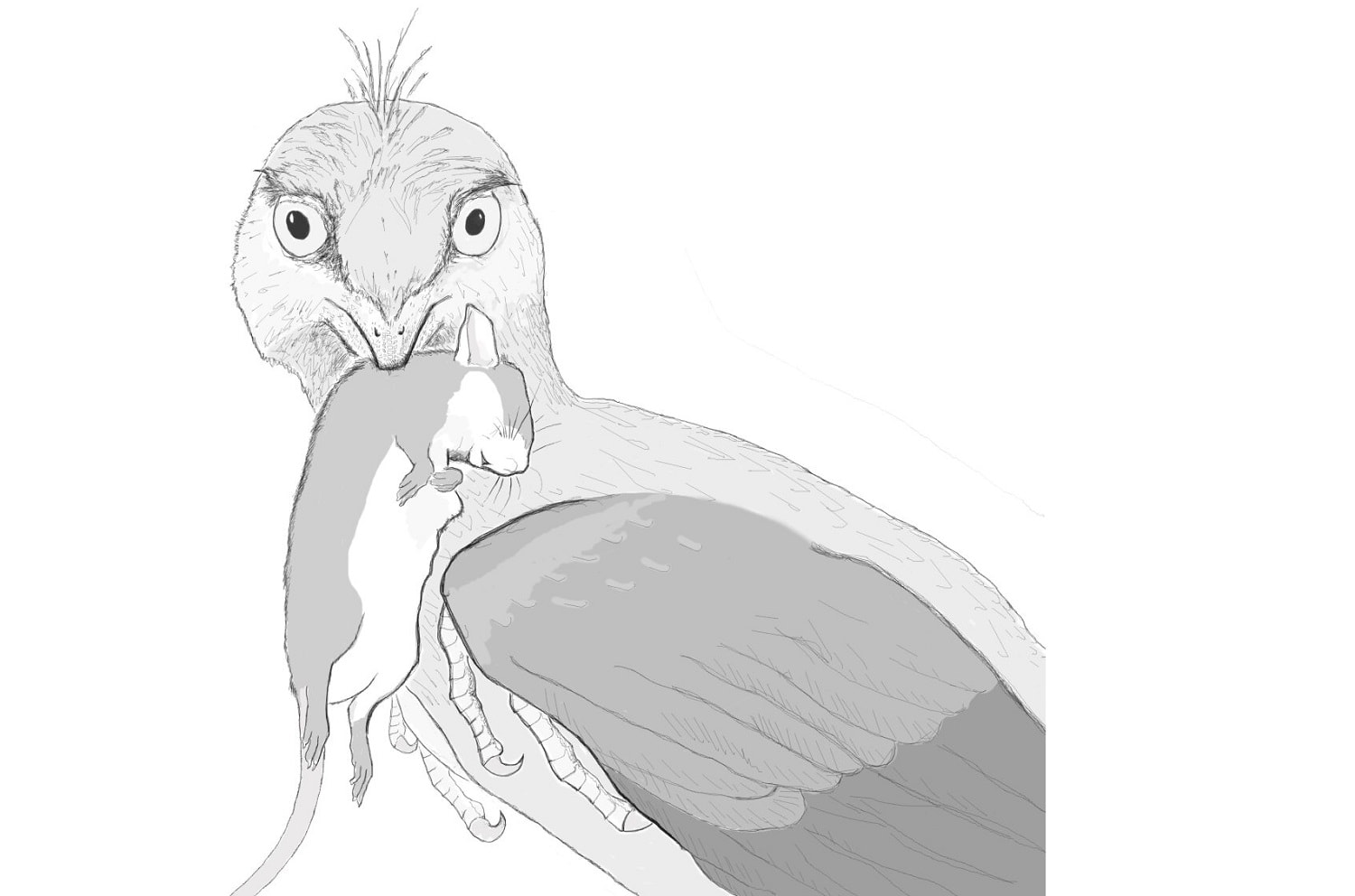 W menu tego dinozaura znalazł się ssak. To pierwsze takie znalezisko 