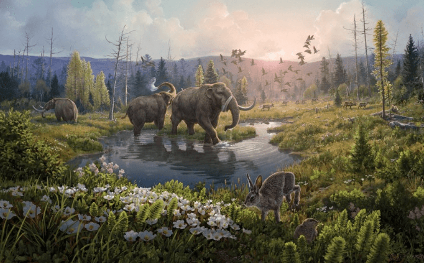 Tak mógł wyglądać ekosystem Kap København /Fot. University of Cambridge
