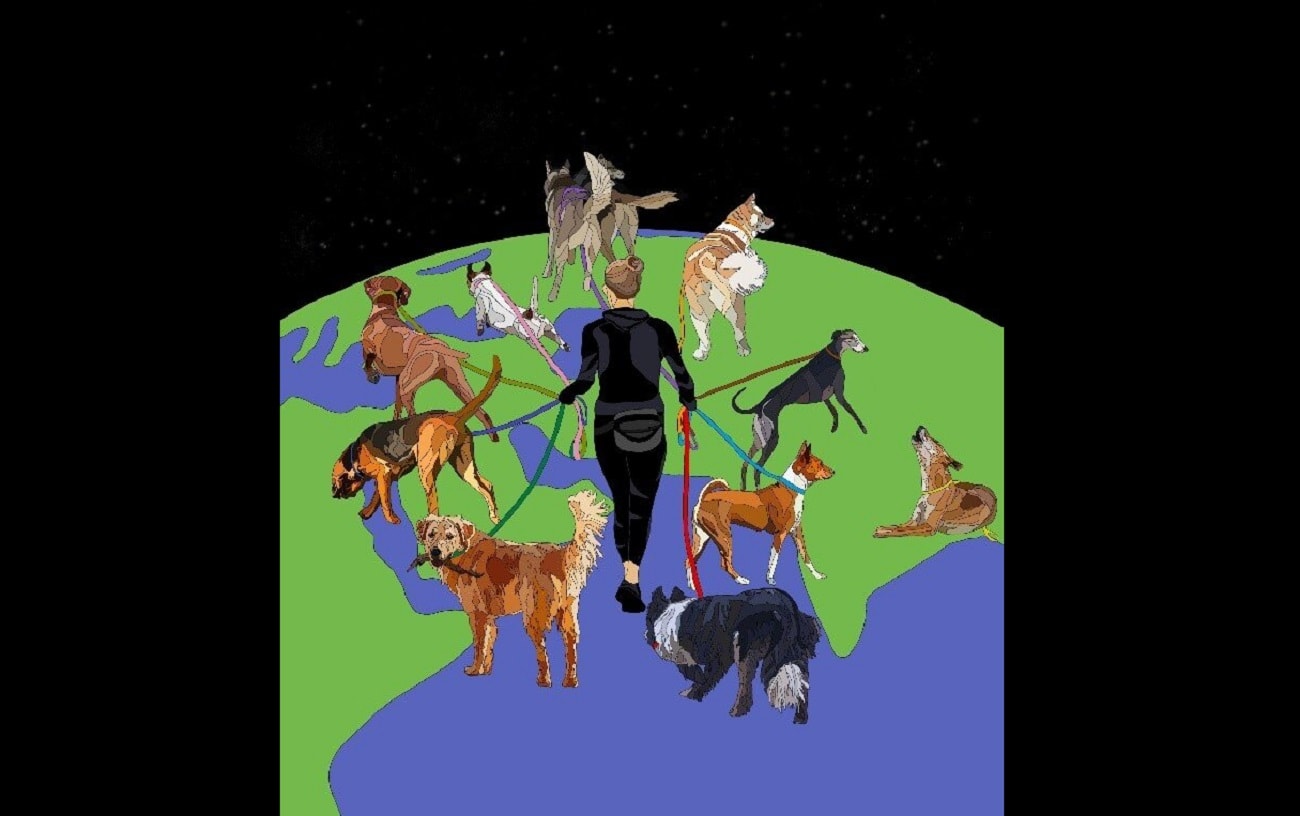 Zachowanie psa a korzenie genetyczne. Naukowcy przeanalizowali powiązania między rasami