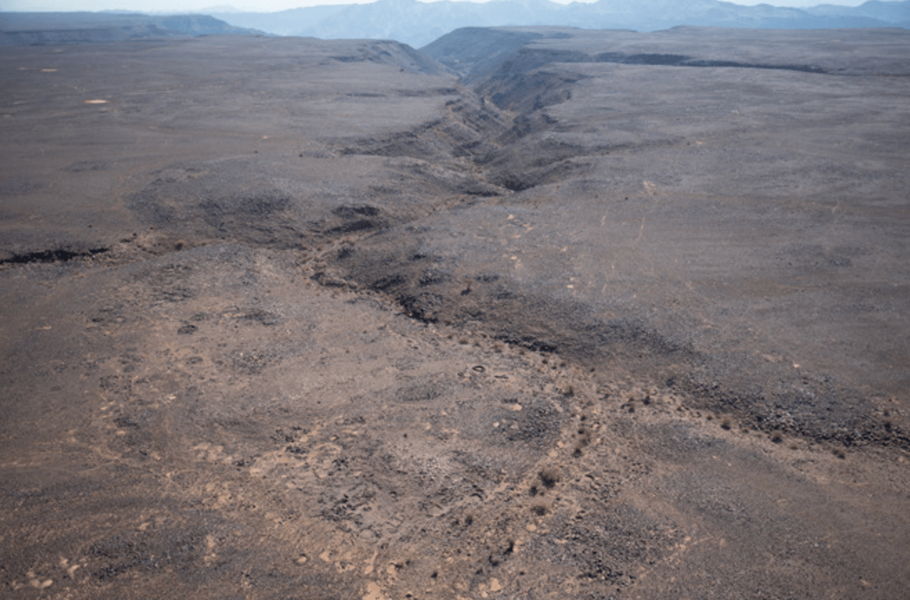Pustynne latawce na Półwyspie Arabskim /Fot. Arabian Archaeology and Epigraphy
