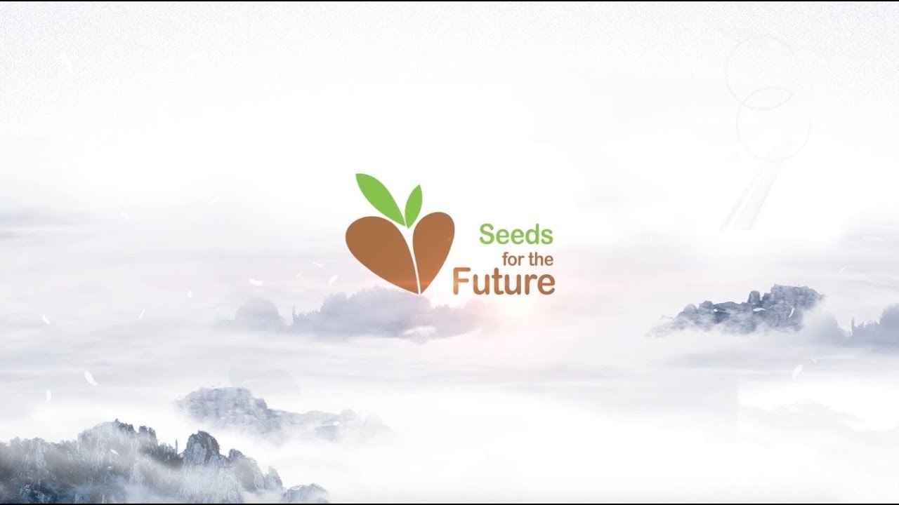 Kobiety zdominowały świat polskich technologii. Nasi studenci docenieni w Europie przez Huawei