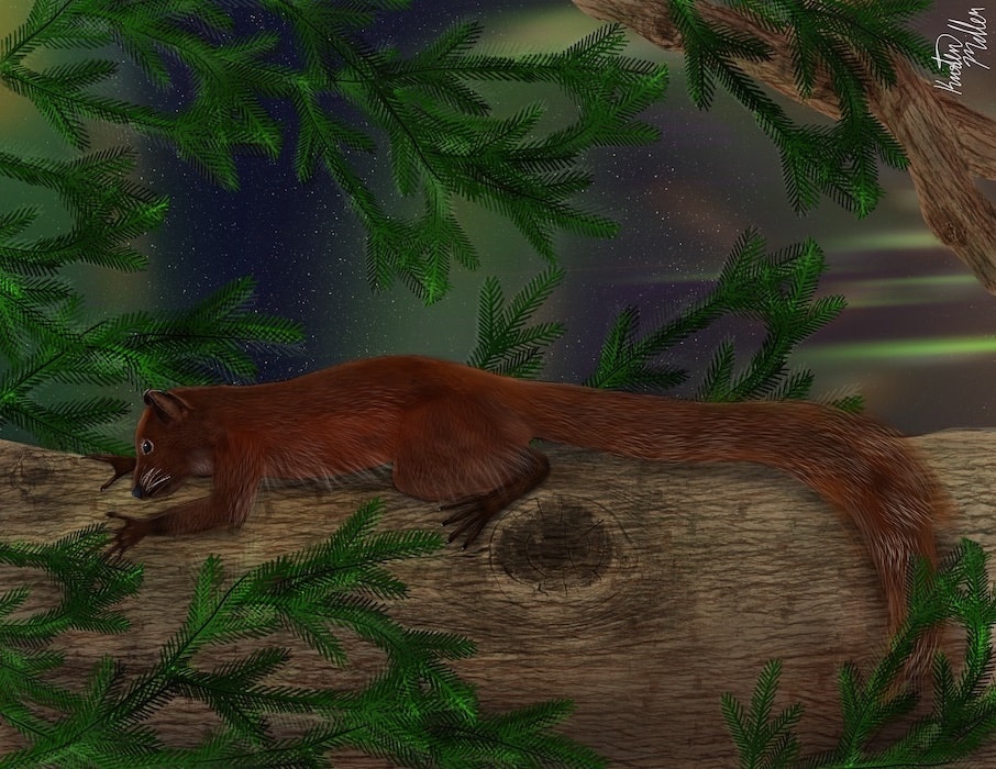 Tak mógł wyglądać Ignacius dawsonae /Ryc. Kansas University
