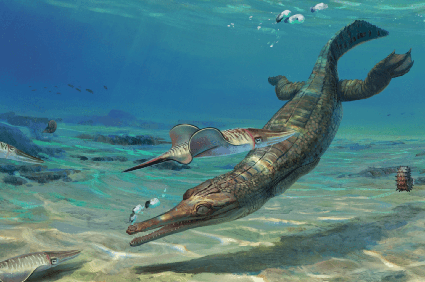 Turnersuchus hingleyae to nieznany gatunek starożytnego krokodyla morskiego /Fot. Taylor & Francis
