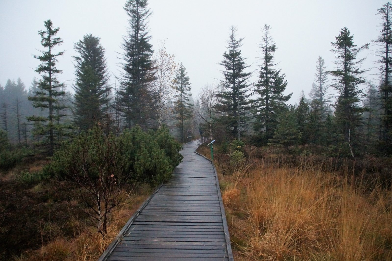 Polacy zbadali ten region Rosji jeszcze przed wojną. Dokopali się aż 13 metrów pod ziemię, tylko po co?