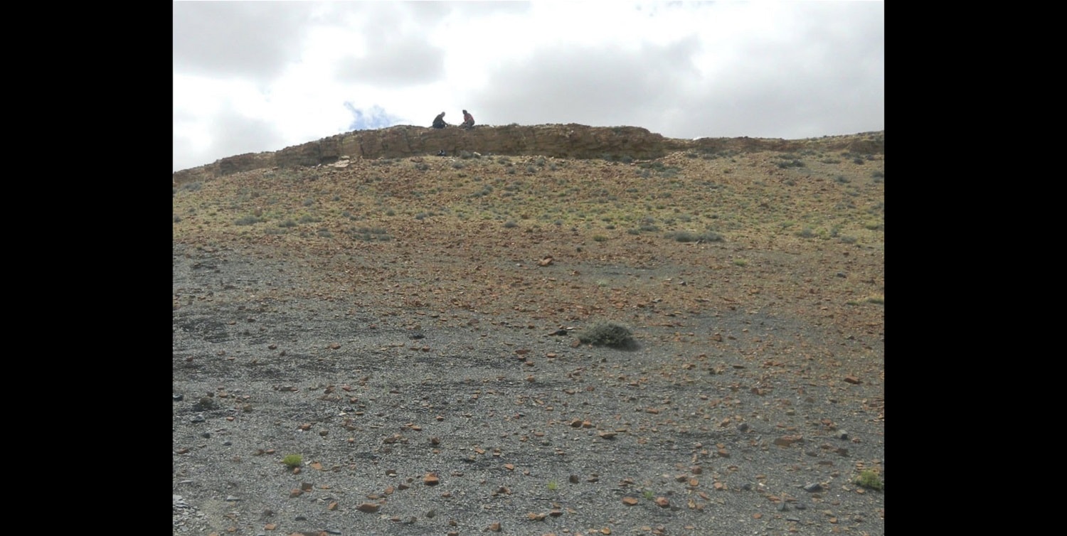 Z mórz zniknęło 95% gatunków. Wiemy, dlaczego wymieranie permskie było tak zabójcze