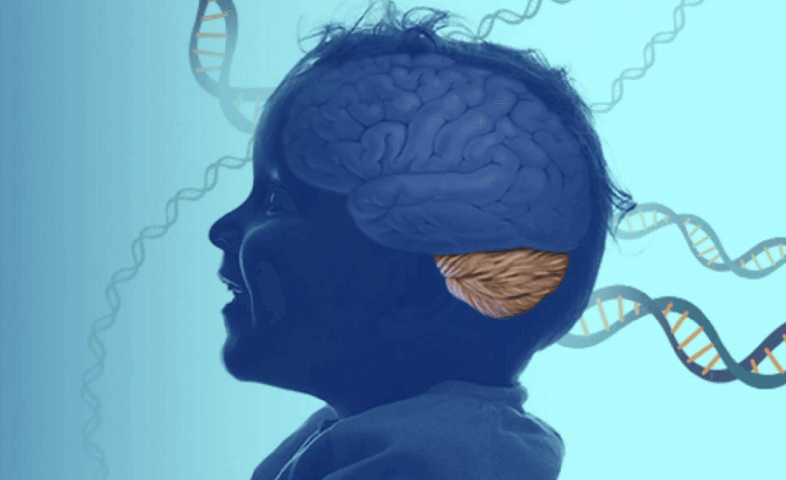 Nowo wykryta choroba neurologiczna jest związana z autofagią /Fot. NIH
