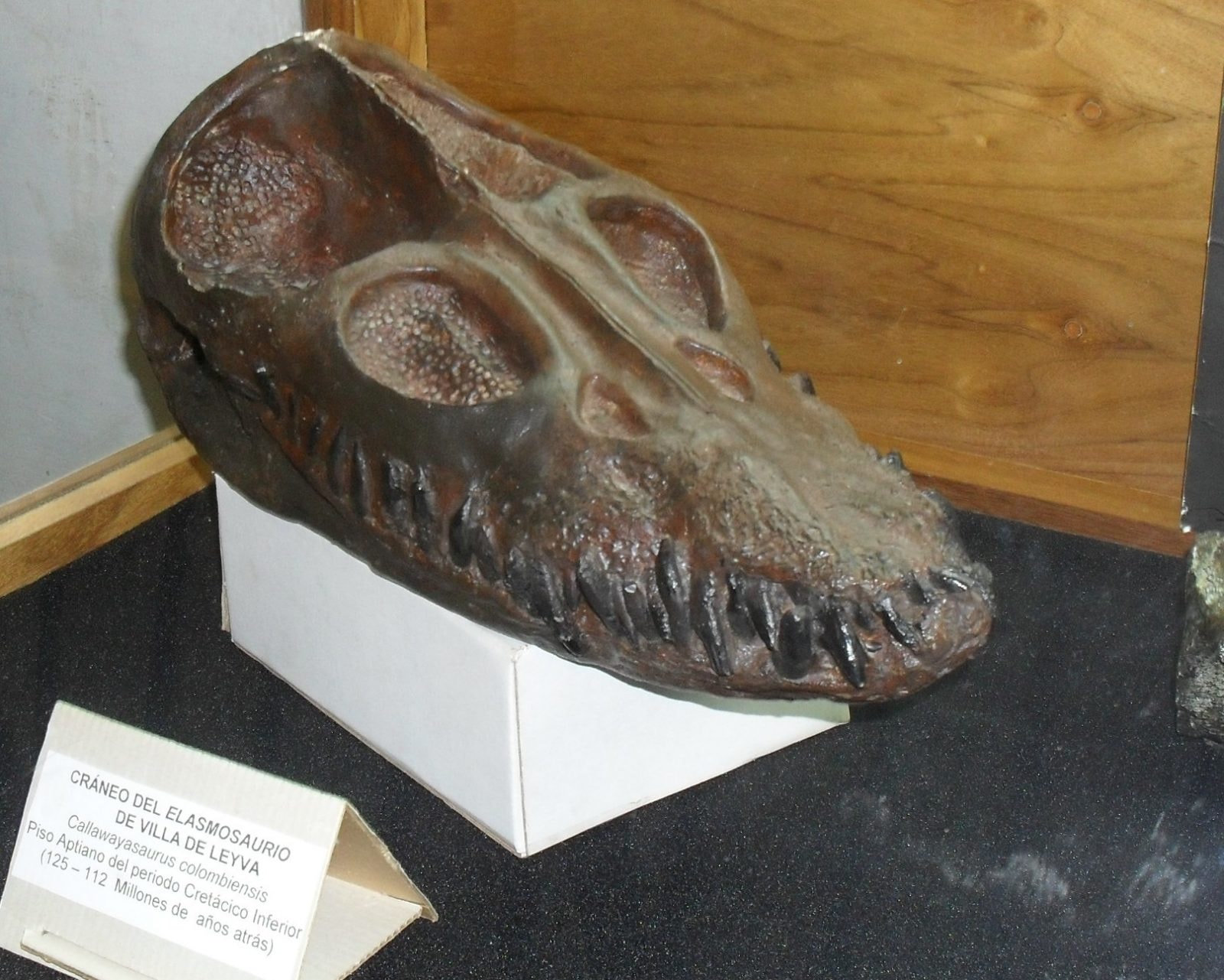 Ekosystem, w którym roiło się od drapieżników. W tym miejscu nikt z nas nie chciałby się znaleźć