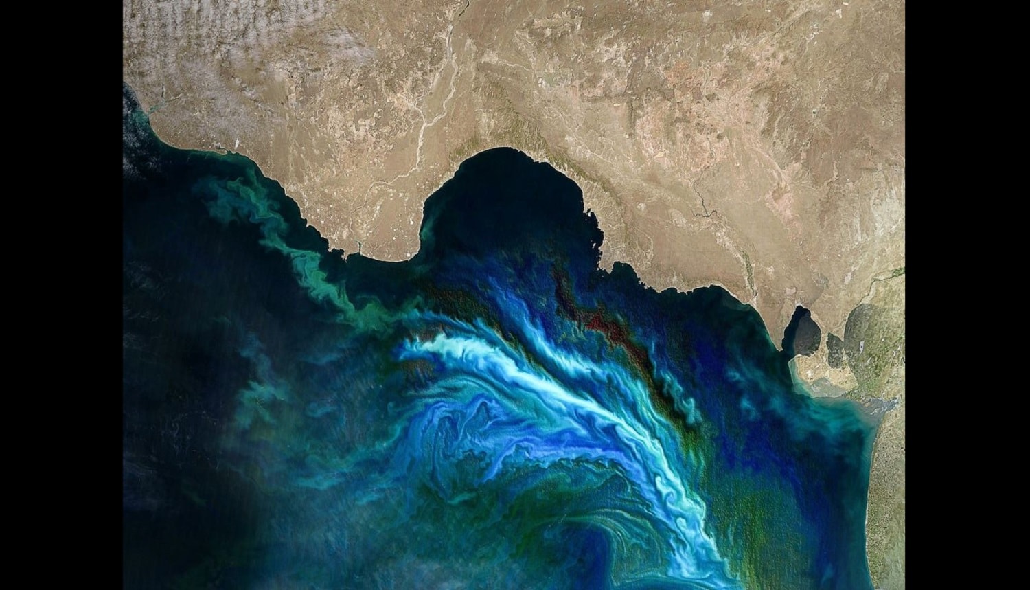 Efektowne zjawisko uchwycone z kosmosu. Stoją za nim żywe organizmy