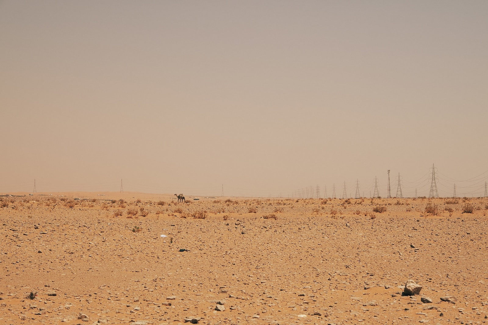 Te rzeźby są starsze niż Stonehenge i egipskie piramidy. Co przedstawiają?