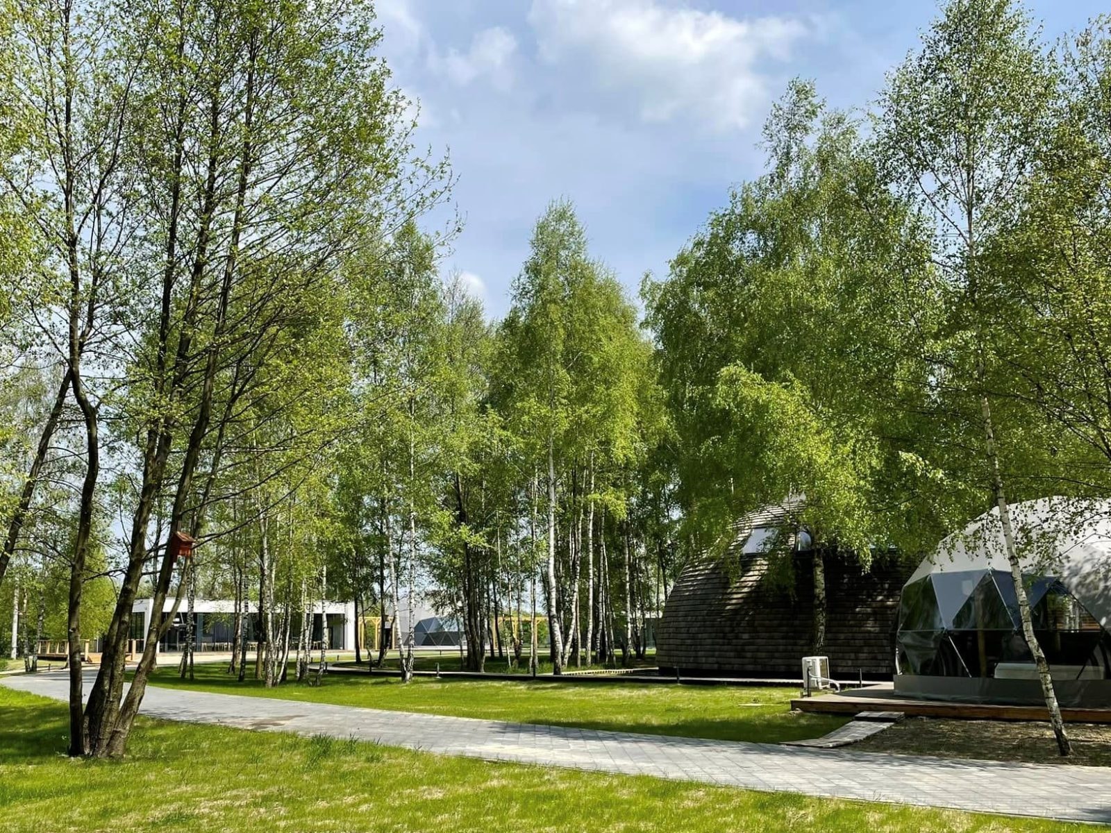 Biznes i marzenia. Wywiad z Tomaszem Wasikiem